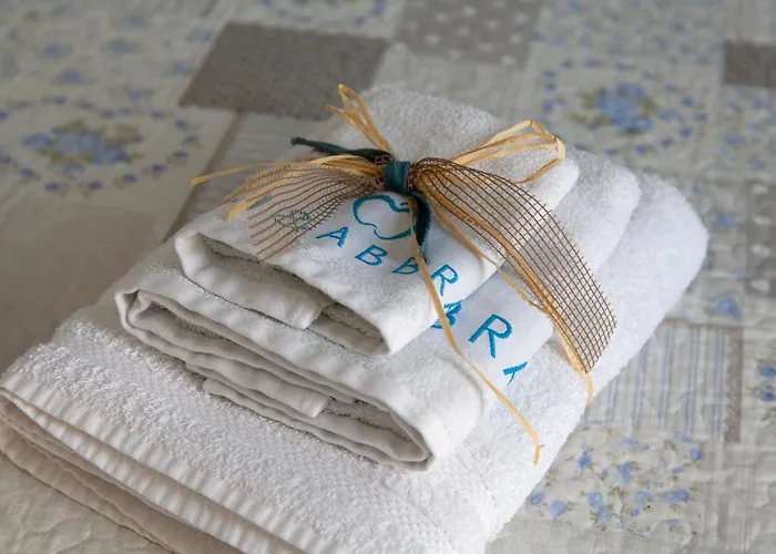 招待所 5terremare